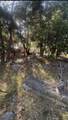 342 Canyon Dr - Photo 8
