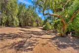 31625 Ano Crest - Photo 64