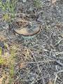 33136 Colorado - Photo 14