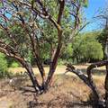 3367 3rd Street - Photo 1