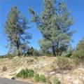 3367 3rd Street - Photo 14