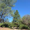 3367 3rd Street - Photo 4
