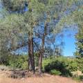 3367 3rd Street - Photo 6