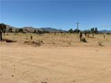 35 Juniper - Photo 11