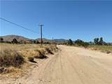 35 Juniper - Photo 12