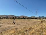 35 Juniper - Photo 5