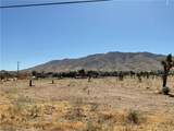 35 Juniper - Photo 8