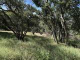 6443 Tustin Road - Photo 14