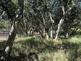 6443 Tustin Road - Photo 15