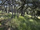 6443 Tustin Road - Photo 31