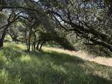 6443 Tustin Road - Photo 33