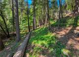 17301 Dogwood Way - Photo 59