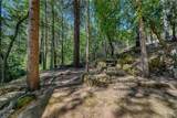 17301 Dogwood Way - Photo 61