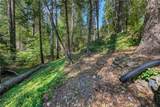 17301 Dogwood Way - Photo 64