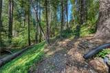 17301 Dogwood Way - Photo 66