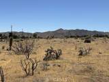 58225 San Andreas Road - Photo 4