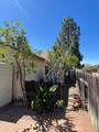22410 Flamingo - Photo 45
