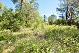 0 Maple Avenue - Photo 14