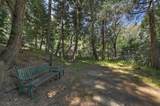 23940 Cresta Drive - Photo 29