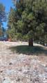39237 Crest Lane - Photo 2