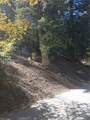 0 Cherry - Photo 7