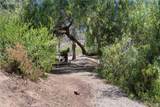 6590 Hawarden Drive - Photo 45