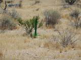 22000 Cattleman - Photo 3