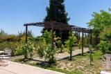 833 Hacienda Circle - Photo 61