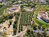25 Encino - Photo 14
