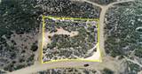 887 Forest Springs Road - Photo 1