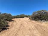 887 Forest Springs Road - Photo 16