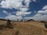 42520 Grama Rd - Photo 6
