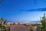 6845 Shadow Wood Drive - Photo 64
