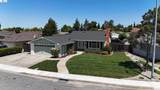4133 Bacinada Dr - Photo 19