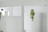 49 Frisch Road - Photo 29