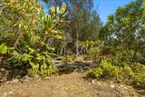 49 Frisch Road - Photo 54