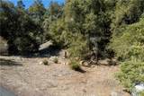1301 Bernina Drive - Photo 2