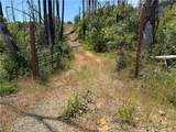 1833 Hunter Point Dr - Photo 1