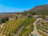 22275 Corte Bonita - Photo 61