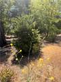 13457 Achilles Court - Photo 11