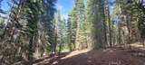 233 Snowy Peak - Photo 18