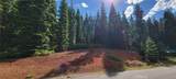 233 Snowy Peak - Photo 20