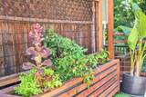 125 Shadowbrook Road - Photo 41