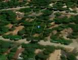 25900 Cassler Drive - Photo 3