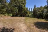2397 Parmabelle - Photo 12