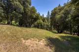 2397 Parmabelle - Photo 13