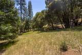 2397 Parmabelle - Photo 15