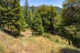 2397 Parmabelle - Photo 2