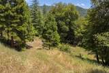 2397 Parmabelle - Photo 4