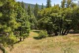 2397 Parmabelle - Photo 5